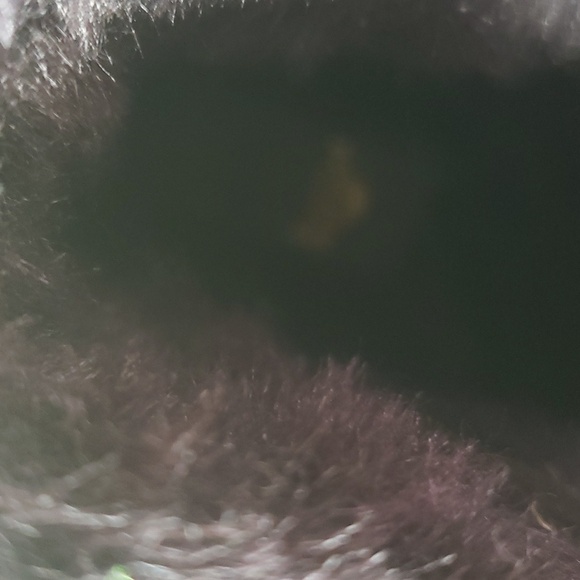 Dr Marten 1460 Kolbert - Picture 4 of 5